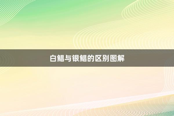 白鲳与银鲳的区别图解