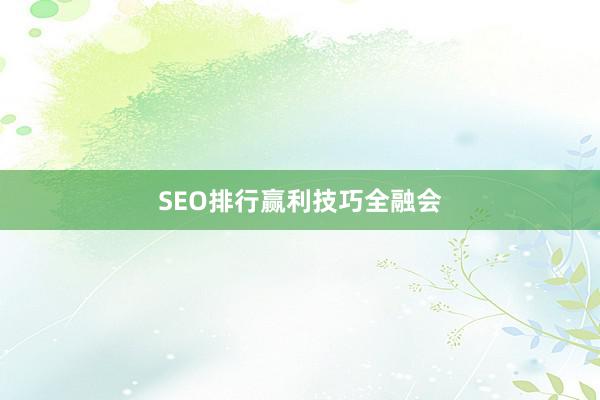 SEO排行赢利技巧全融会